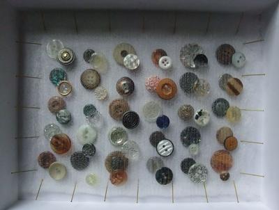 Button Box by Susie Freeman