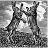 Boxing Hares by Howard Phipps