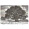 Ashcombe In Winter by Howard Phipps