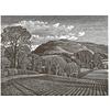 Hambledon Hill by Howard Phipps