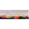 Patchwork Headland by Sandy Dooley