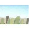 Littlemore, Clear Sky by Andrew Walton