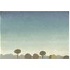Littlemore, Big Clear Sky by Andrew Walton