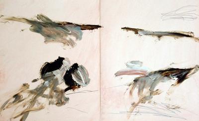Hawk (The Picturesque) by Philip Maltman