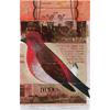 Scarlet Rosefinch On Pelican by James Read