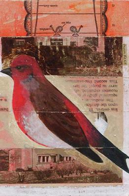 Scarlet Rosefinch On Pelican by James Read