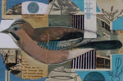 Jay On Pelican by James Read