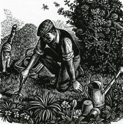 The Jobbing Gardener by Howard Phipps