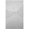 Road by David Harker