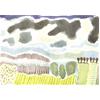 Wittenham Clumps, Spring by Andrew Walton