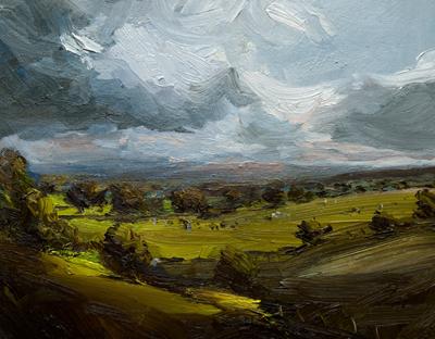 Sunlit Valley, Grazing Sheep by Robert Newton