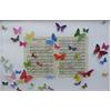 Madam Butterfly by Joseph Silcott