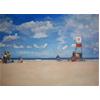Beach Guard by Will Smith