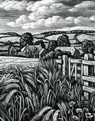 Summer Fields, The Ebble Valley by Howard Phipps