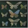 Butterfly Box (Green) by Joseph Silcott