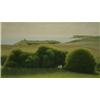 Sussex Downs Near Birling Gap by David Stubbs