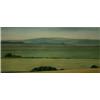 South Downs Near Beachy Head by David Stubbs