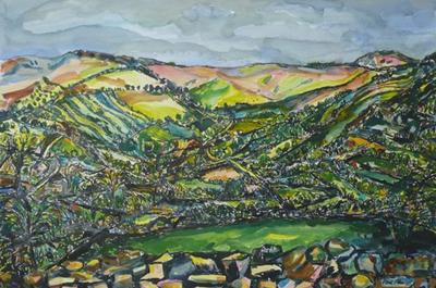 Swaledale, Spring by Paul Finn