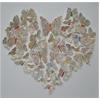A Map Of The Heart by Joseph Silcott