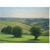 South Downs Near Willingdon by David Stubbs