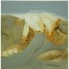 Summer Land III by Margaret McLellan