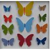 Butterfly Box #1 by Joseph Silcott
