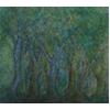 Group Of Trees #1 by John Hubbard