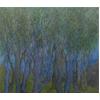 Group Of Trees #5 by John Hubbard