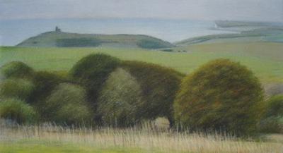 Sussex Downs Near Birling Gap With The Belle Tout Lighthouse by David Stubbs