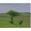 Paintings by David Stubbs