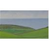 Sussex Downs From Warren Hill by David Stubbs
