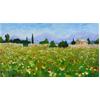 Wildflowers, Mondrago, Mallorca by Marcel Gatteaux