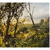 Intense Light, Early Autumn by Robert Newton