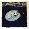 She Fox by David Hollington