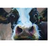 Series 3: Cow Painting #11 by Jelly Green