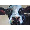 Series 3: Cow Painting #13 by Jelly Green