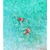 Bathers, Tropea by Will Smith