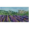 Lavender Near Sault, Provence by Paul Finn
