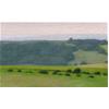 Downs Study, Near East Dean #2 by David Stubbs