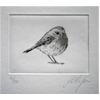 Robin by John Douglas Piper