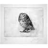 Little Owl by John Douglas Piper