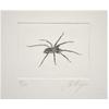 House Spider by John Douglas Piper