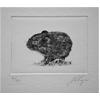 Bank Vole by John Douglas Piper