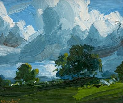 Row Of Trees, Midday Light by Robert Newton
