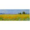 Orange, Provence by Marcel Gatteaux