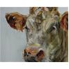 Charolais #5 by Jelly Green