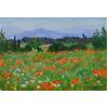 Poppies, Rousillon, Provence by Marcel Gatteaux