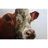 Water Meadows Herd #3 by Jelly Green