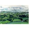 Paintings by Tim Cumming