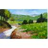 Vines, Bandol, Provence by Marcel Gatteaux